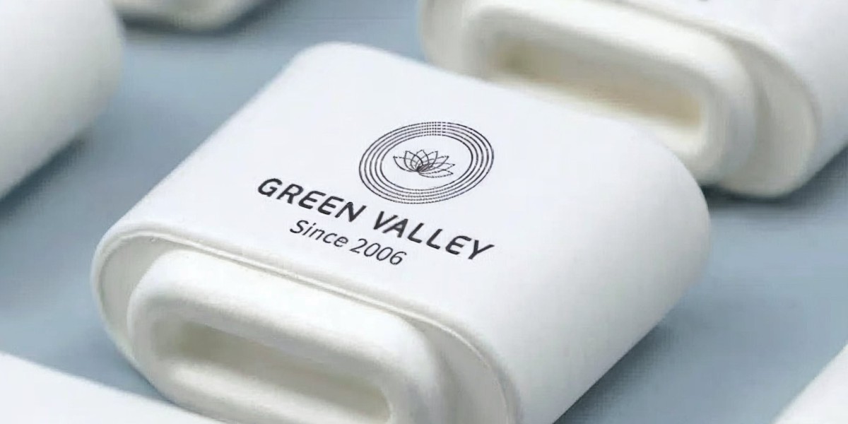 The Evolution of Sustainable Packaging In A Focus on Europe and Material Innovations